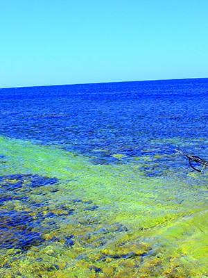 Углубленное увлечение