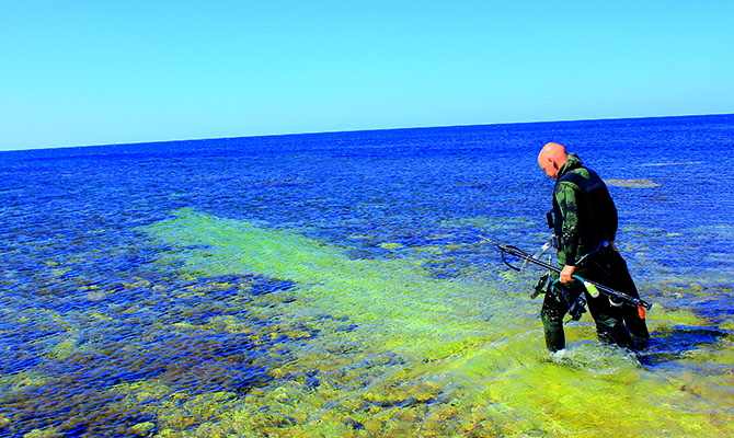 Углубленное увлечение