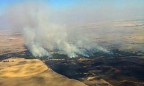 В Австралии ввели ЧП из-за масштабных лесных пожаров