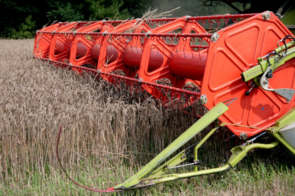 Правительство утвердило 5% отклонение цен для трансферного ценообразования