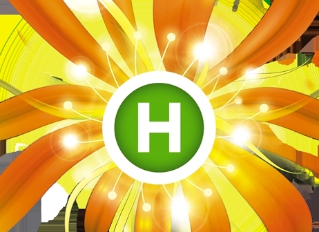 На Новом канале пройдут внеплановые проверки