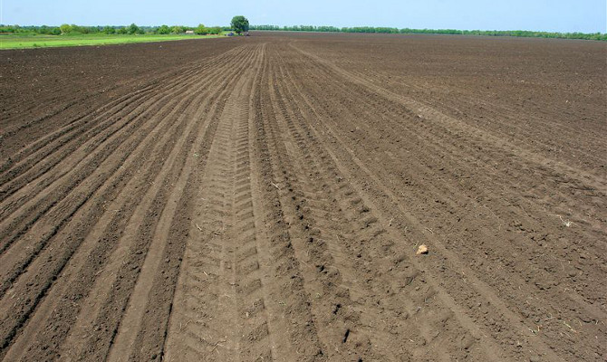 Раде предлагают продлить мораторий на продажу земли до 2030 года