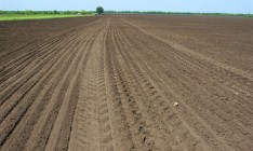 Раде предлагают продлить мораторий на продажу земли до 2030 года