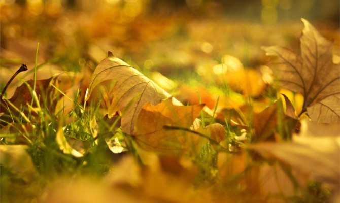 В начале недели в Украине будет тепло, но с небольшими осадками