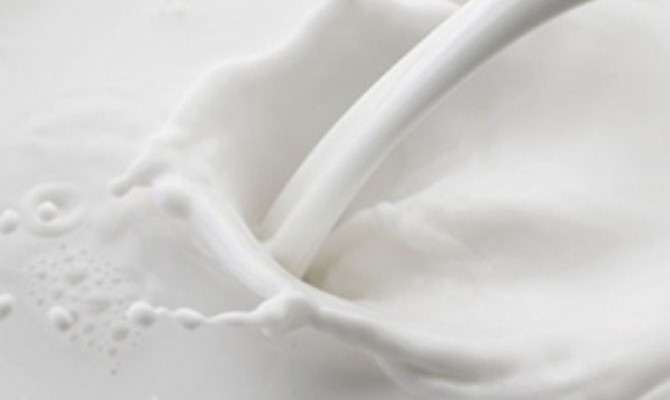 «Индустриальная молочная компания» зафиксировала убытки в $6,4 млн