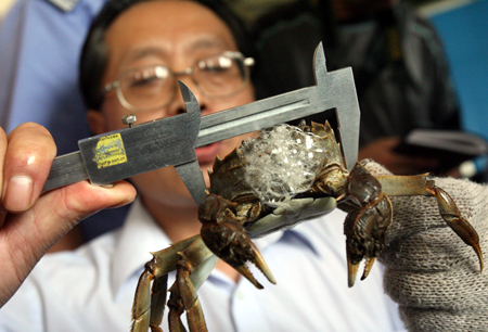 Из-за ограничения привилегий китайским чиновникам приходится отказываться от крабов