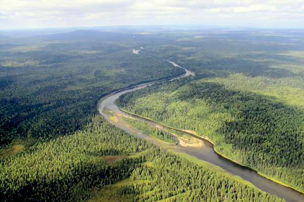 Болваны  и пельмени
