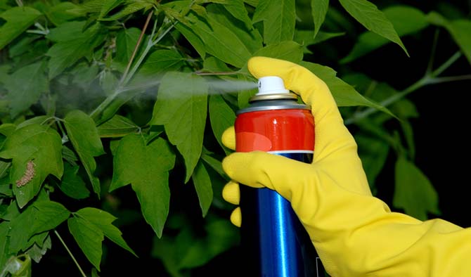 Минэкономразвития запретило ввоз пестицидов каждому третьему импортеру