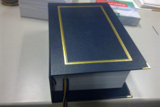 Текст Соглашения об Ассоциации с ЕС увидел свет