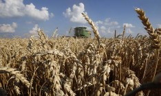Год падения цен на зерновые закончится рекордным урожаем