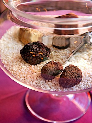 Гриб королей, король грибов