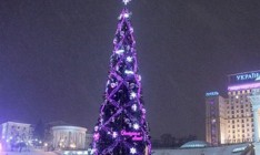 В Киеве начали устанавливать главную новогоднюю елку Украины
