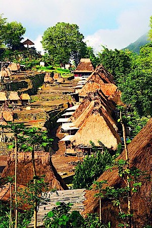 Цветущий Флорес:  новая туристическая точка на карте Индонезии