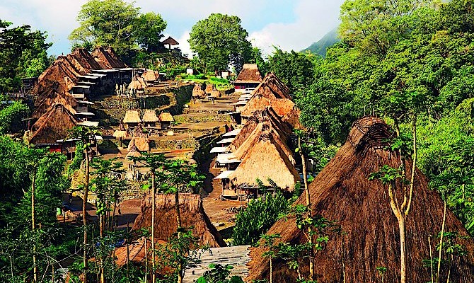 Цветущий Флорес:  новая туристическая точка на карте Индонезии