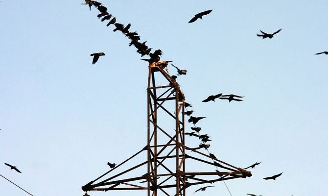 Энергетическая система Украины стала менее эффективной