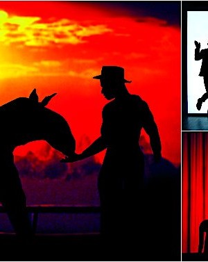 Уйти  в тень