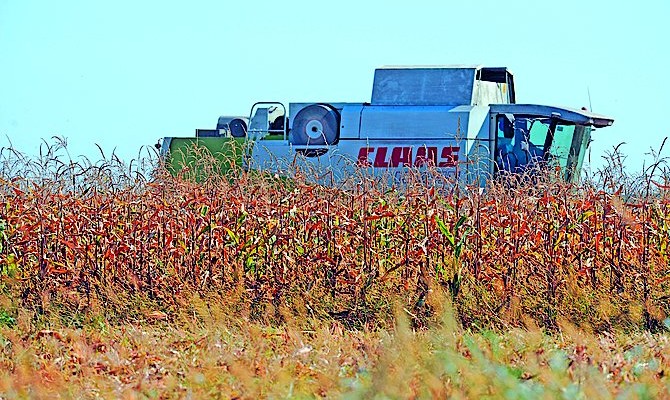 Кабмин уволил первого зама главы НАК «Украгролизинг»