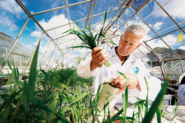 Немецкий Bayer купил активы украинской сельхозкомпании