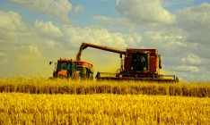 Правительство решило возвращать НДС экспортерам зерна