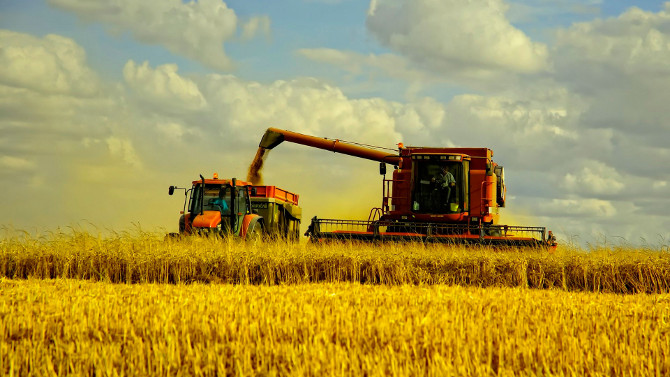 Правительство решило возвращать НДС экспортерам зерна
