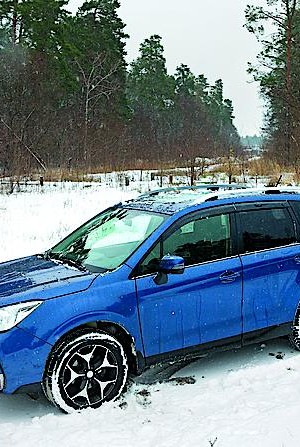 Таежный роман