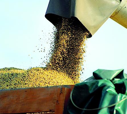 Cargill приобрела пакет в украинской компании UkrLandFarming