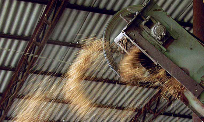 Девелопер Николай Толмачев потерял интерес к непрофильному аграрному бизнесу