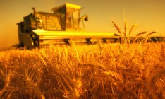 Минагрополитики заявляет об угрозе продовольственной безопасности из-за захвата ведомства