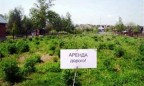 Стоимость аренды земли за год выросла на 10%