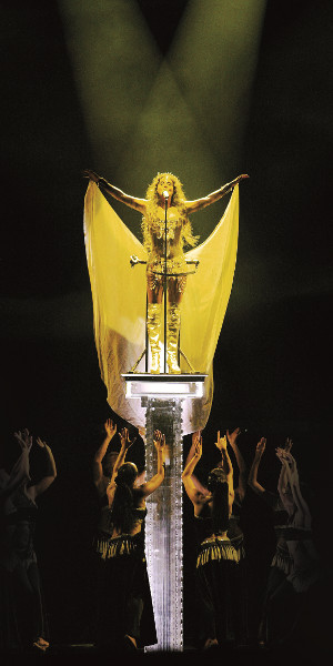 Небо. Космолет. Девушка