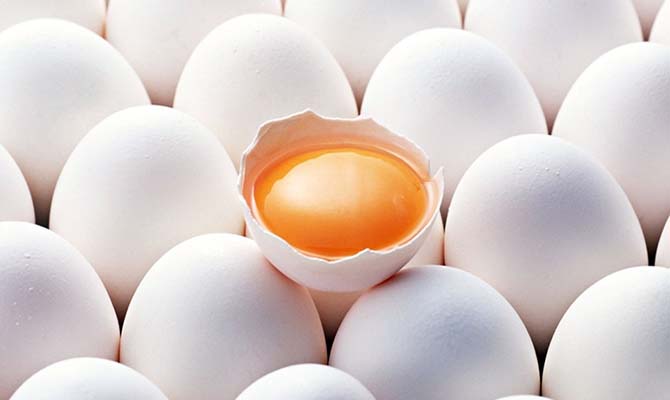 В 2013 году холдинг «Авангард» произвел 7 млрд штук яиц