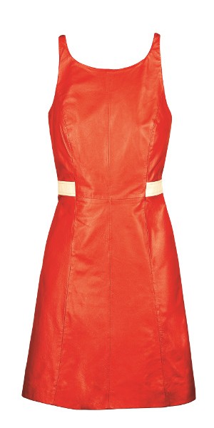 По следу грейхаунда