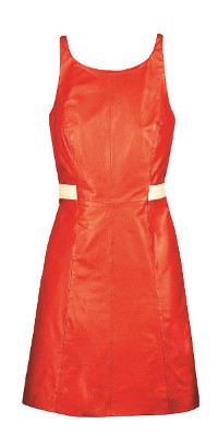 По следу грейхаунда