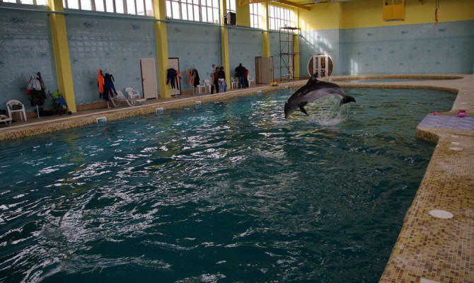 Военные РФ захватили океанариум в Севастополе