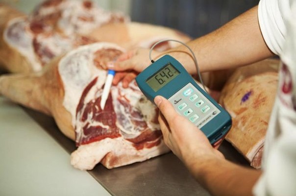 Украина усилит контроль за экспортом в страны ТС