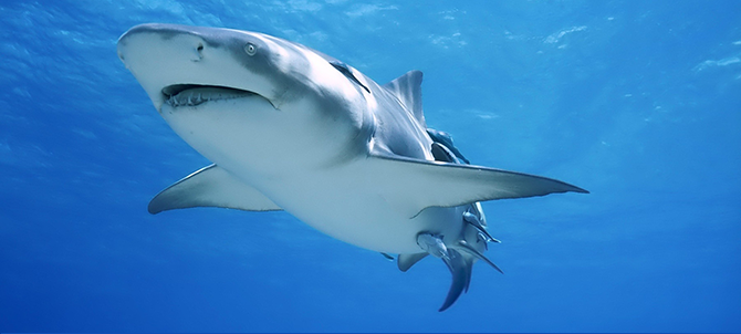 День Бизнес-PR в рамках XII Международного PR-фестиваля:  люди, тренды, кейсы, дискуссии