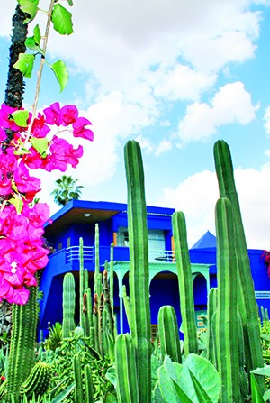 Марракеш: сад в пустыне