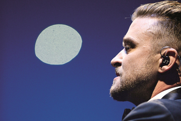 И снова  здравствуйте