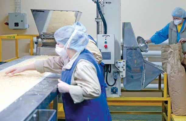 Отчисления в фонд соцстраха могут заменить на страховку работодателей