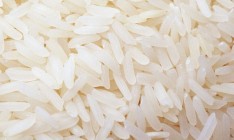 Из-за нехватки воды в Крыму погиб весь посев риса