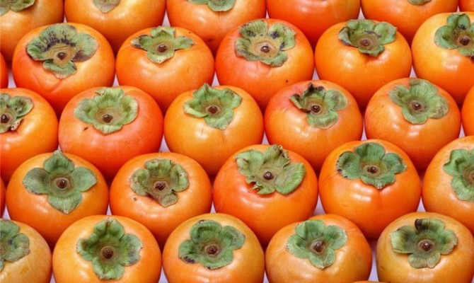 Россия впервые за 8 лет разрешит ввоз грузинских овощей и фруктов