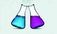 Как возникает привязанность, что общего у крыс и людей, зачем ученые делают кошкам лоботомию — в книге «Химия любви»