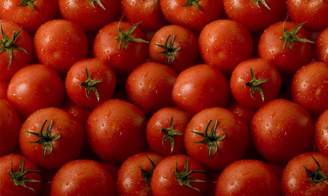 Ford и Heinz создадут детали авто из помидоров