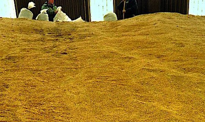 Grain reserves in Ukraine are 20% lower than in the past year