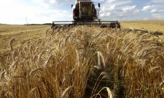 Украина вошла в тройку крупнейших экспортеров зерна