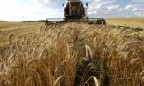Ukraine among top 3 grain exporters