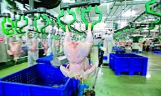 Россия усилила проверки курятины из Украины