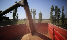 Потеряв донбасское и крымское зерно, Украина все же соберет рекордный урожай