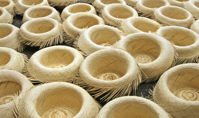 В тени панамы