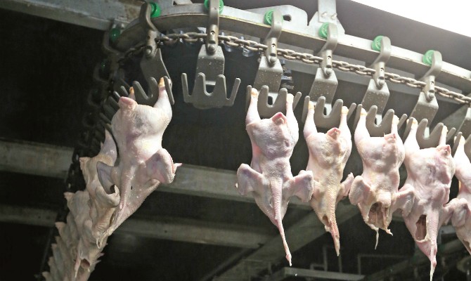 МХП снова терпит убытки из-за девальвации гривни